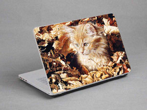 Cat Laptop decal Skin for ASUS K52DR-EX260X 1067-675-Pattern ID:674